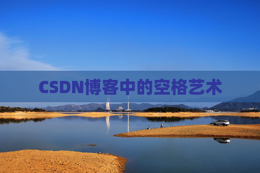 CSDN博客中的空格艺术